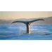 Charlevoix & Observation des Baleines 2 Jours