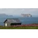 Circuit Gaspé 3 jours depuis Montréal | Rocher Percé, Île de Bonaventure & Jardins Reford