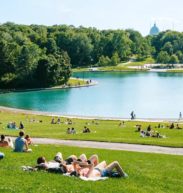 Mount Royal and the Plateau: Montreal Bagels, Lookouts and Streets