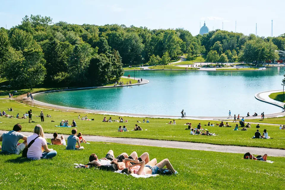 Mount Royal and the Plateau: Montreal Bagels, Lookouts and Streets