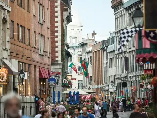 Explore Montreal in 5 Hours – Historic Landmarks & Scenic Views
