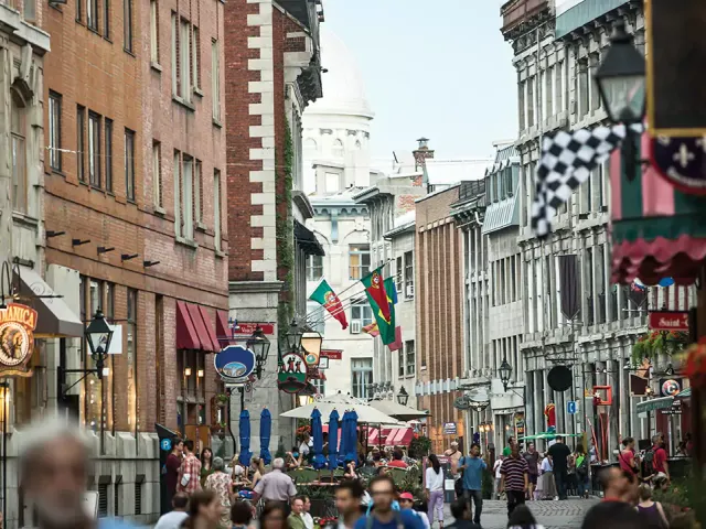 Explore Montreal in 5 Hours – Historic Landmarks & Scenic Views