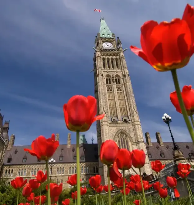 The Ottawa Tulip Festival: When to Go and What to See