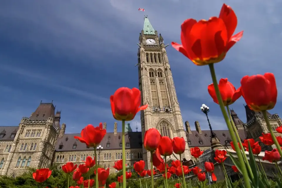 The Ottawa Tulip Festival: When to Go and What to See