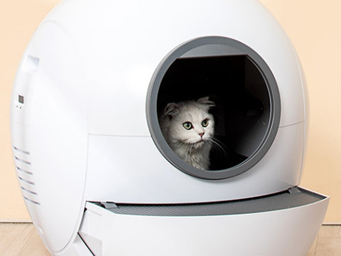 Automatic Pet Cleaning Box