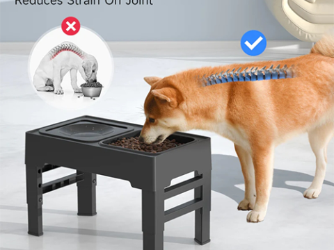 Raised Dog Bowls O