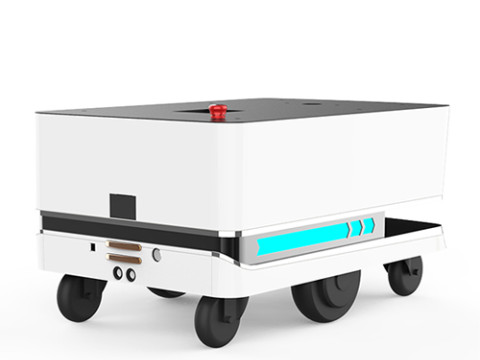 Bigdog Service Robot