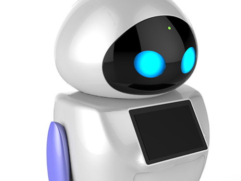 KaKa Service Robot