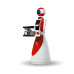 Robot de service LeLe