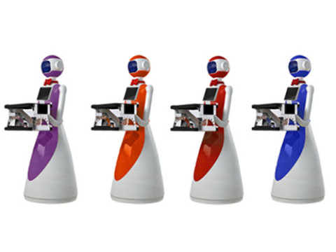 Robot de service LeLe