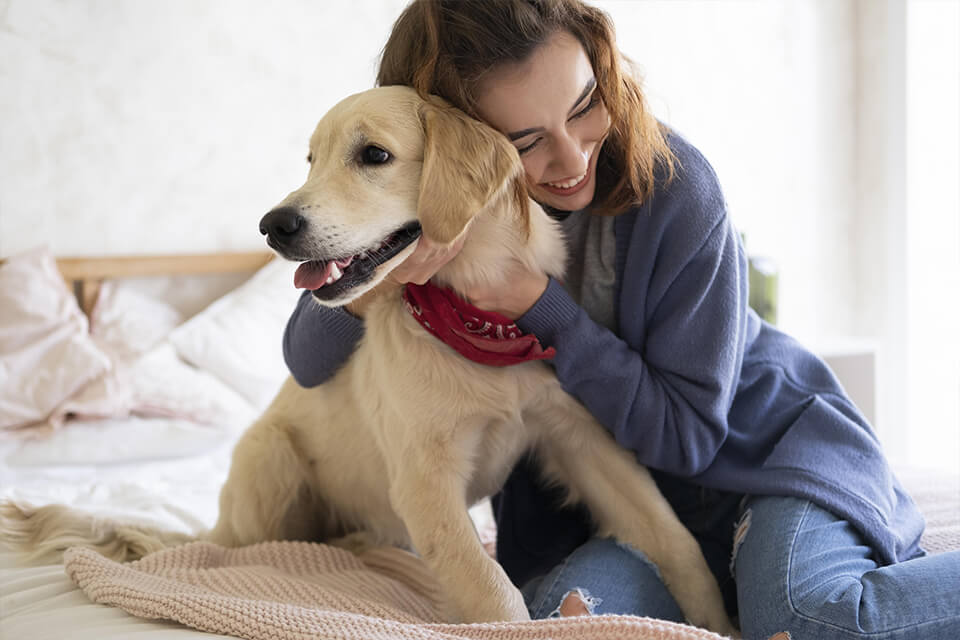 Viral Tweet Skyrockets Dog Walker