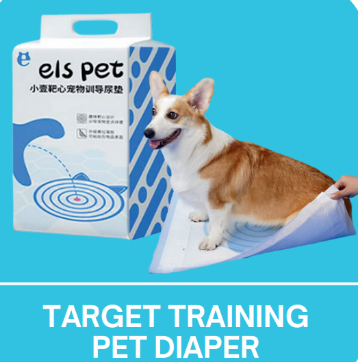 Target Training Pet Diaper, 50/33*45